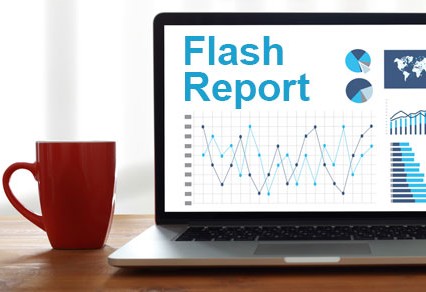 Supplement your financial statements with timely flash reports