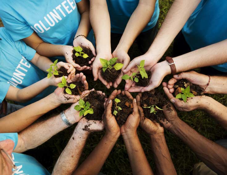 Volunteers Planting Garden